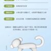 Infant teether monkey bite bite Loco boiled food grade silicone anti-eating hand baby teething stick -1pcs (Any Color) - Image 6